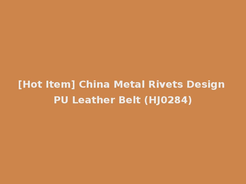[Hot Item] China Metal Rivets Design PU Leather Belt (HJ0284)