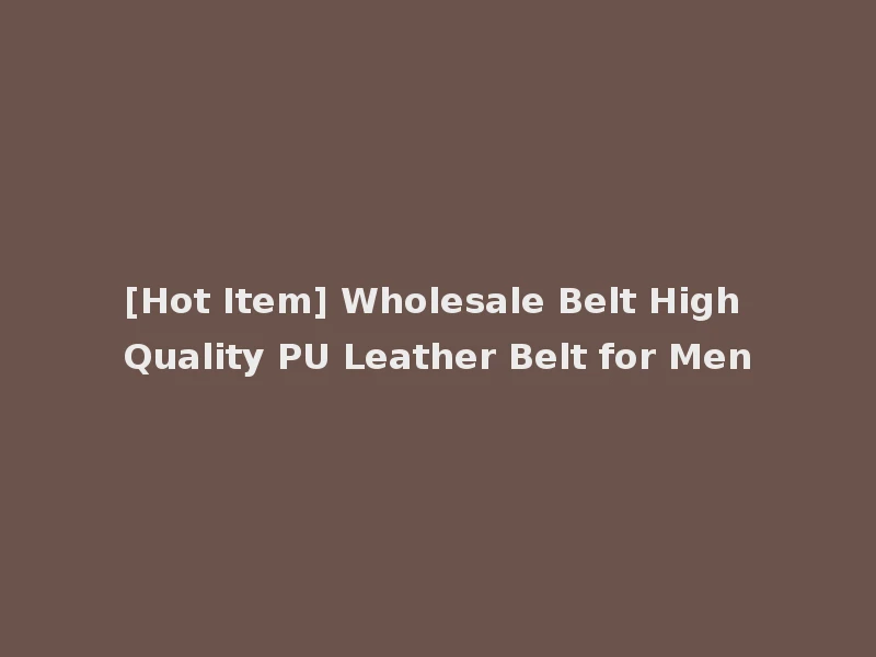 [Hot Item] Wholesale Belt High Quality PU Leather Belt for Men