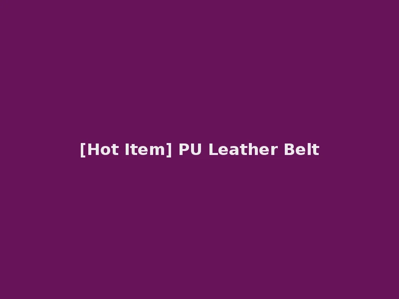 [Hot Item] PU Leather Belt