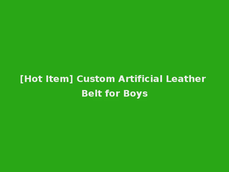 [Hot Item] Custom Artificial Leather Belt for Boys