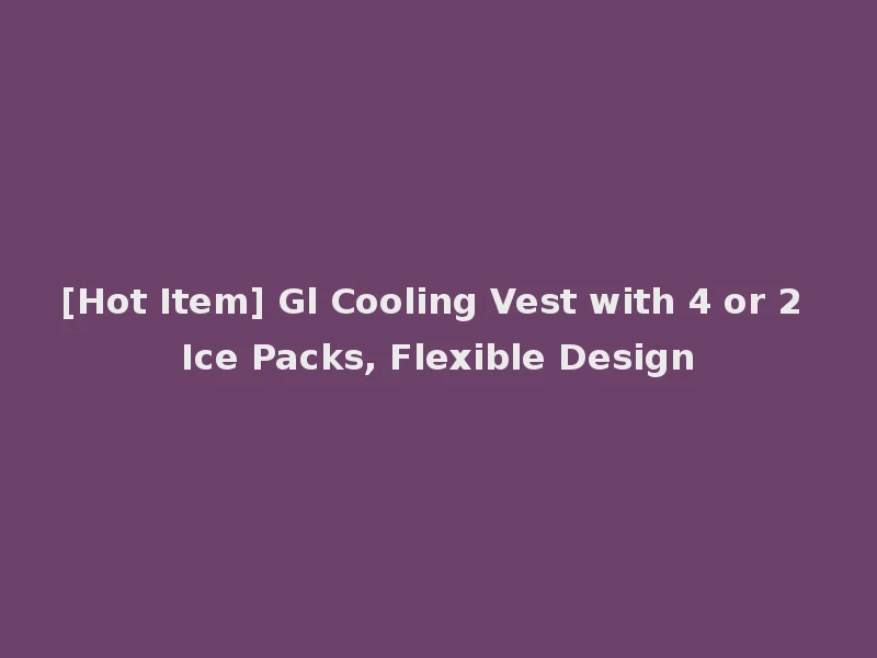 [Hot Item] Gl Cooling Vest with 4 or 2 Ice Packs, Flexible Design