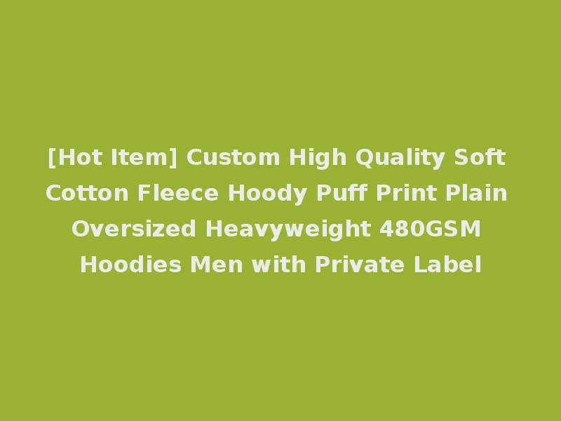 [Hot Item] Custom High Quality Soft Cotton Fleece Hoody Puff Print Plain Oversized Heavyweight 480GSM Hoodies Men with Private Label