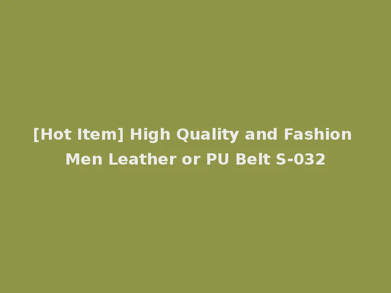 [Hot Item] High Quality and Fashion Men Leather or PU Belt S-032