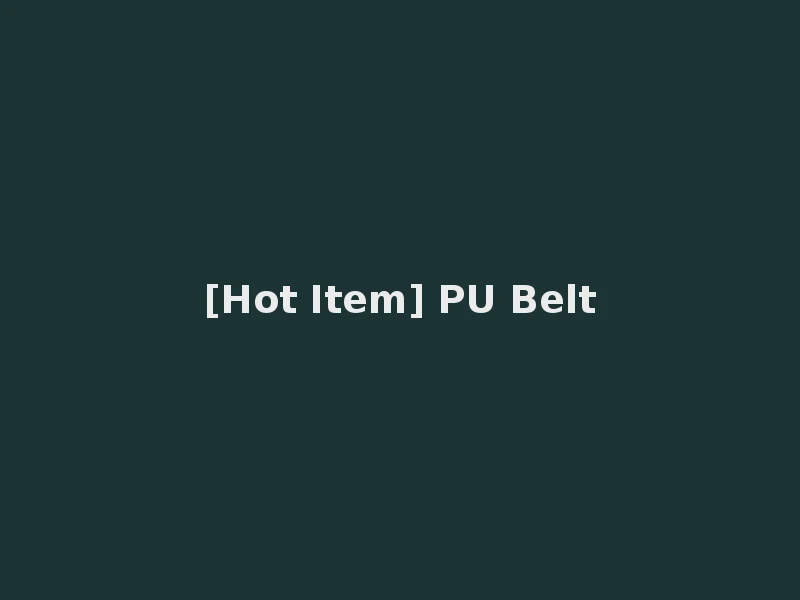 [Hot Item] PU Belt