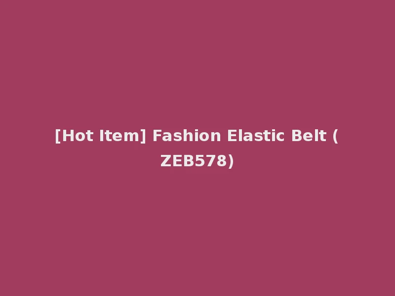 [Hot Item] Fashion Elastic Belt (ZEB578)