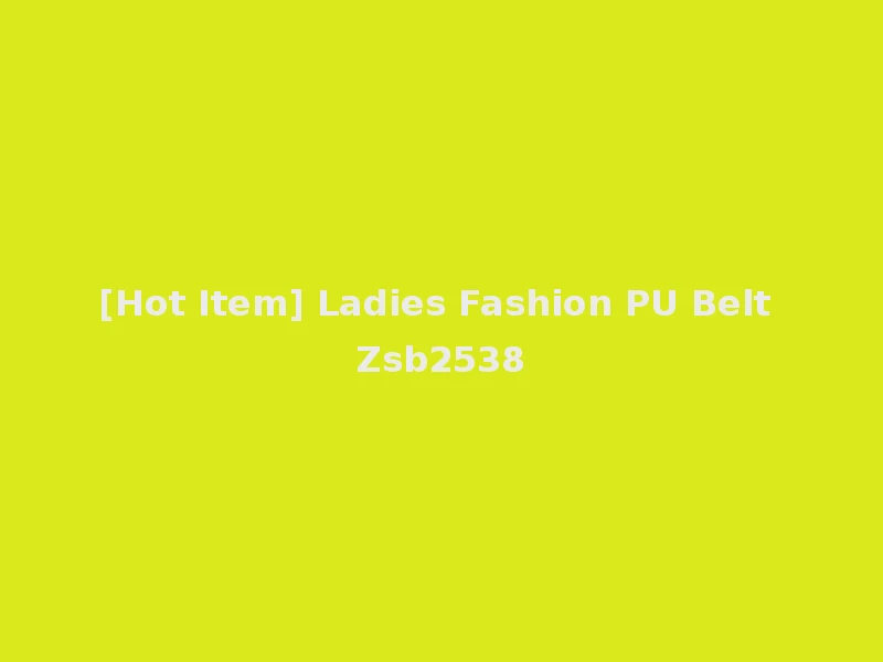 [Hot Item] Ladies Fashion PU Belt Zsb2538