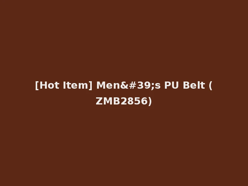 [Hot Item] Men's PU Belt (ZMB2856)