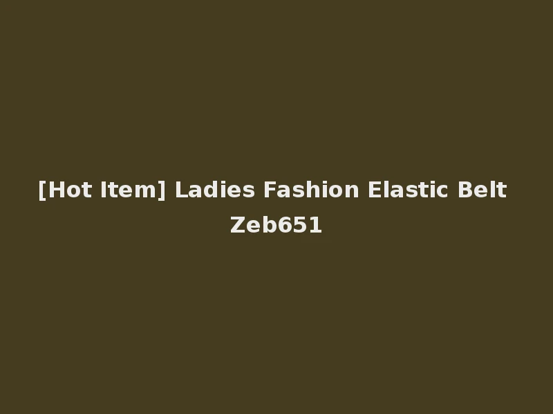 [Hot Item] Ladies Fashion Elastic Belt Zeb651