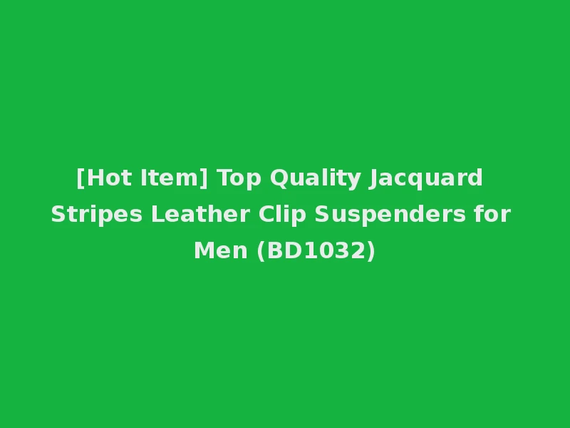 [Hot Item] Top Quality Jacquard Stripes Leather Clip Suspenders for Men (BD1032)