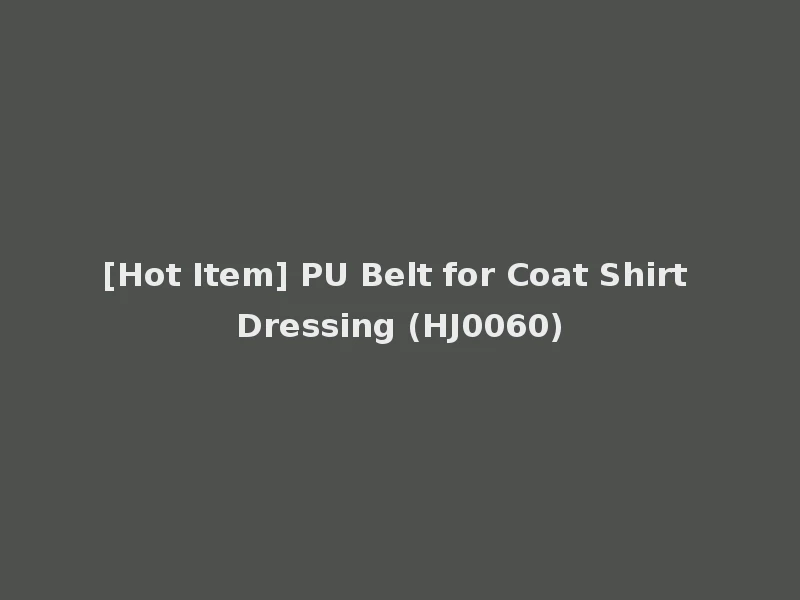 [Hot Item] PU Belt for Coat Shirt Dressing (HJ0060)