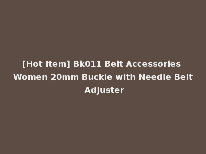 [Hot Item] Bk011 Belt Accessories Women 20mm Buckle with Needle Belt Adjuster