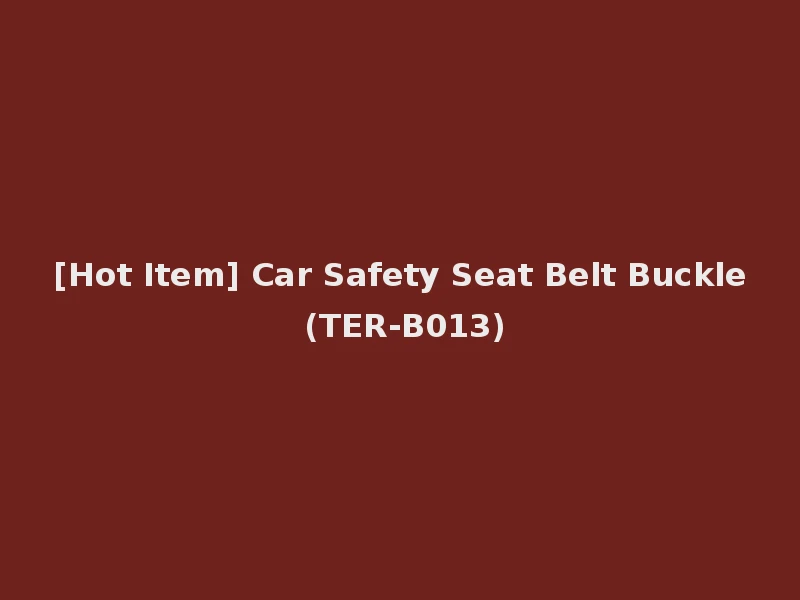 [Hot Item] Car Safety Seat Belt Buckle (TER-B013)