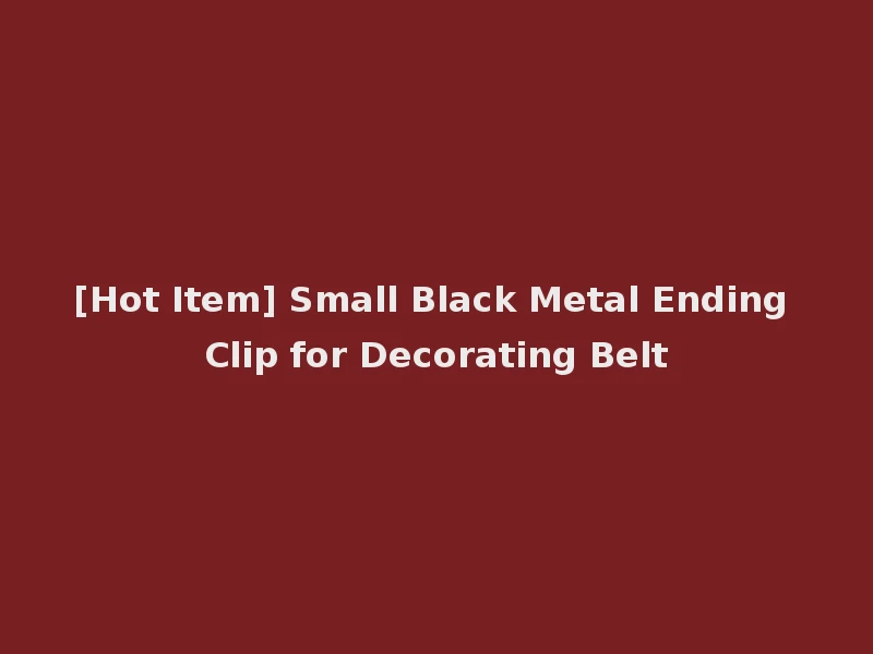 [Hot Item] Small Black Metal Ending Clip for Decorating Belt