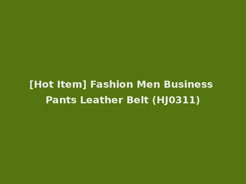 [Hot Item] Fashion Men Business Pants Leather Belt (HJ0311)