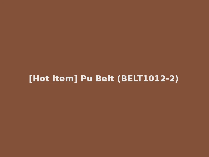 [Hot Item] Pu Belt (BELT1012-2)