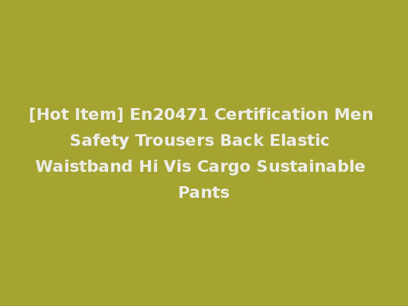 [Hot Item] En20471 Certification Men Safety Trousers Back Elastic Waistband Hi Vis Cargo Sustainable Pants