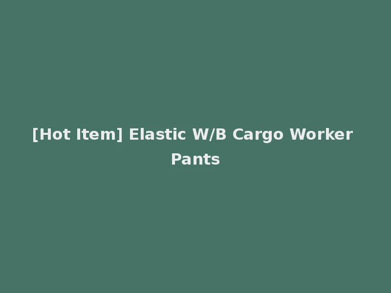 [Hot Item] Elastic W/B Cargo Worker Pants