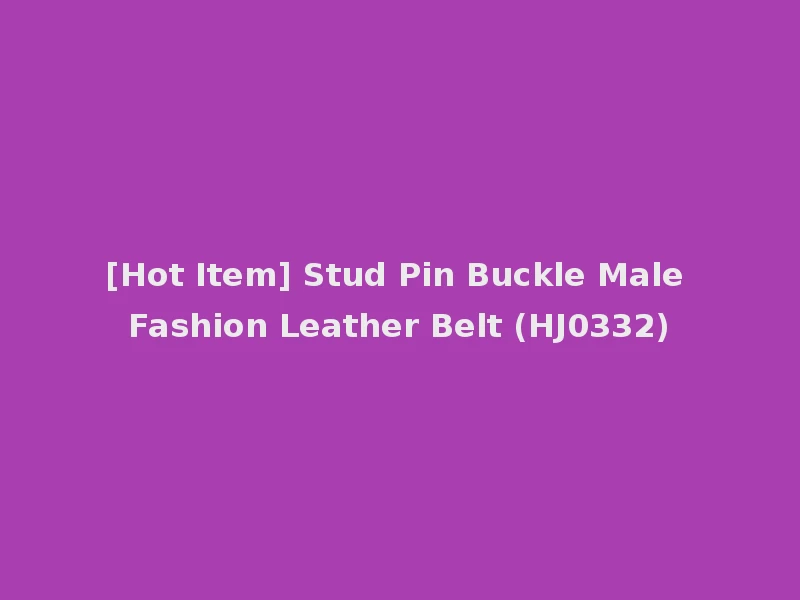 [Hot Item] Stud Pin Buckle Male Fashion Leather Belt (HJ0332)