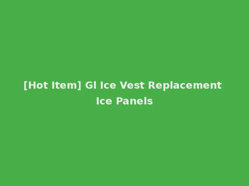 [Hot Item] Gl Ice Vest Replacement Ice Panels