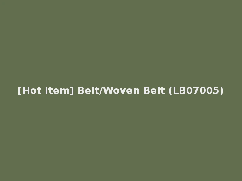 [Hot Item] Belt/Woven Belt (LB07005)