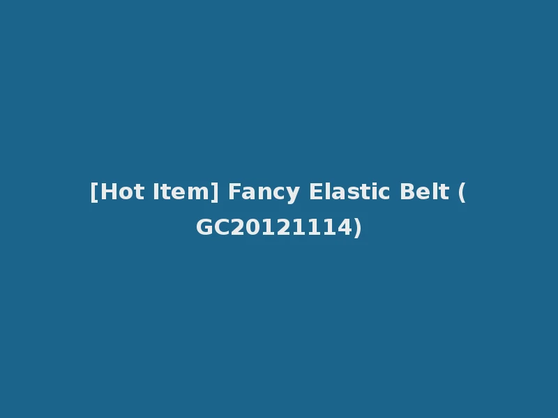 [Hot Item] Fancy Elastic Belt (GC20121114)