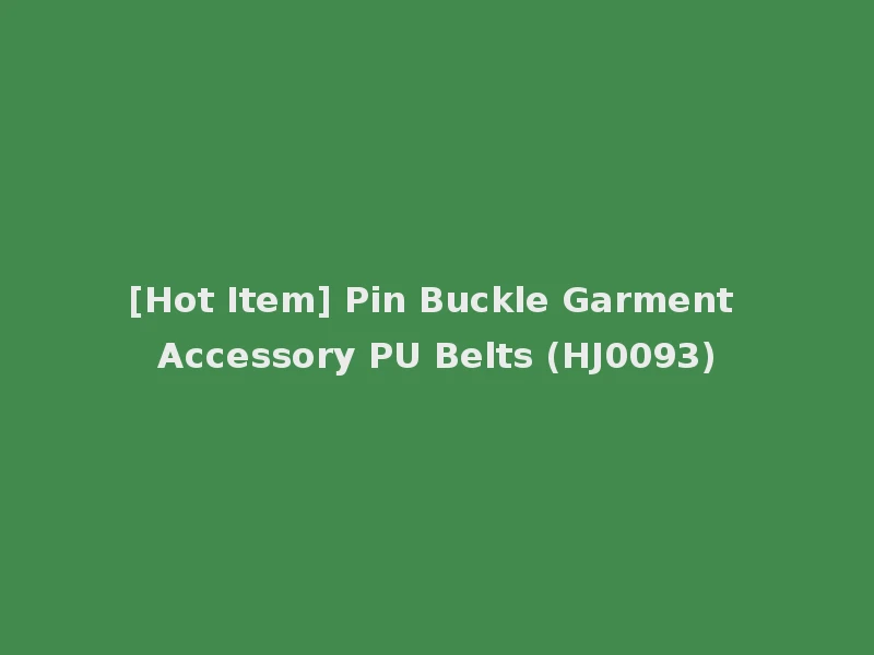 [Hot Item] Pin Buckle Garment Accessory PU Belts (HJ0093)