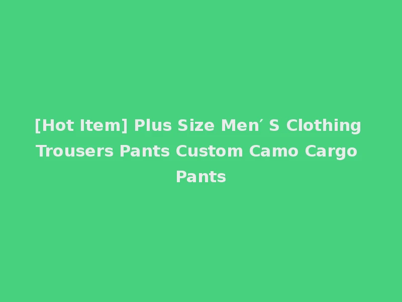 [Hot Item] Plus Size Men′ S Clothing Trousers Pants Custom Camo Cargo Pants