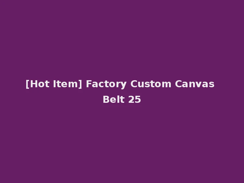 [Hot Item] Factory Custom Canvas Belt 25