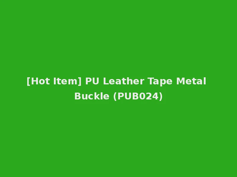 [Hot Item] PU Leather Tape Metal Buckle (PUB024)