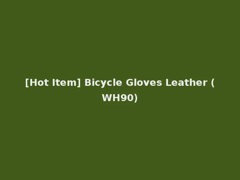 [Hot Item] Bicycle Gloves Leather (WH90)