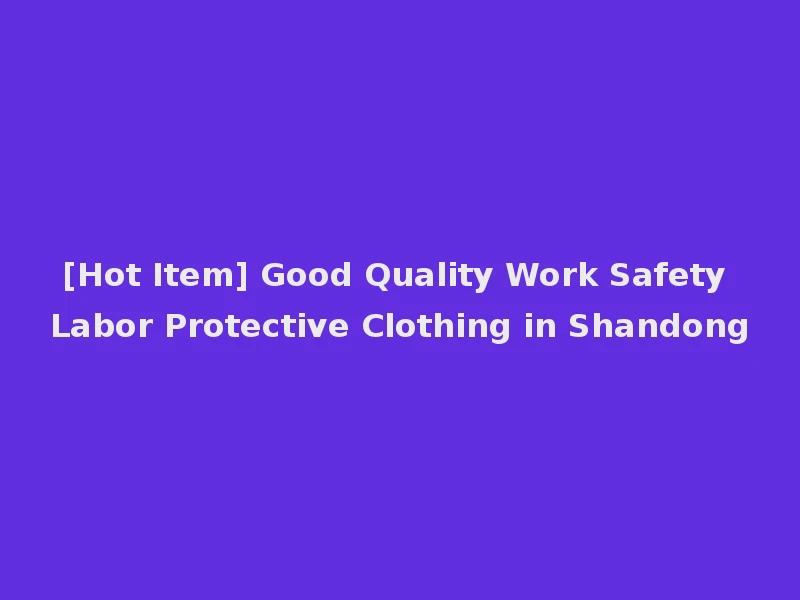 [Hot Item] Good Quality Work Safety Labor Protective Clothing in Shandong
