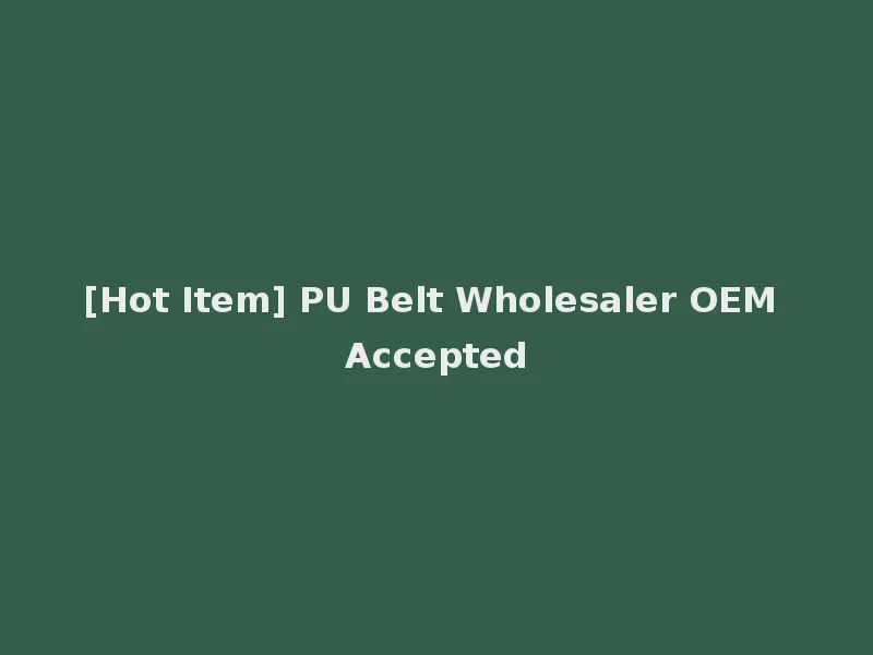 [Hot Item] PU Belt Wholesaler OEM Accepted