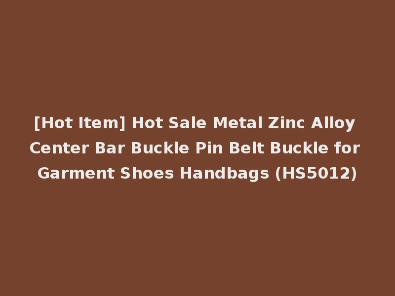 [Hot Item] Hot Sale Metal Zinc Alloy Center Bar Buckle Pin Belt Buckle for Garment Shoes Handbags (HS5012)