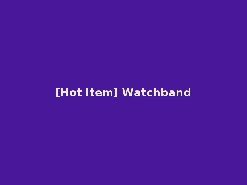 [Hot Item] Watchband