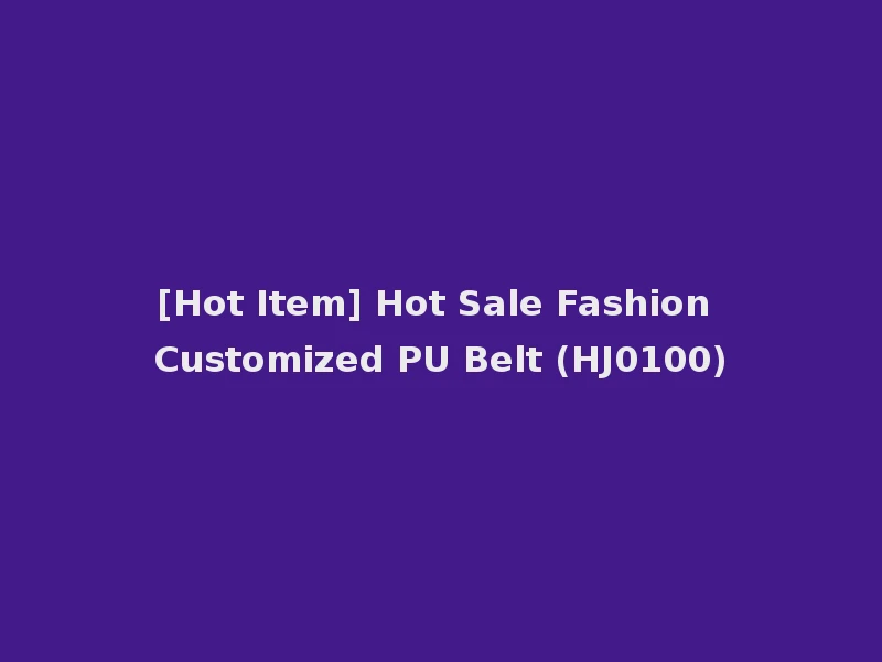 [Hot Item] Hot Sale Fashion Customized PU Belt (HJ0100)