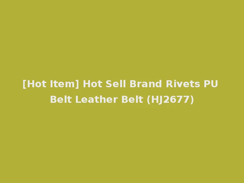 [Hot Item] Hot Sell Brand Rivets PU Belt Leather Belt (HJ2677)