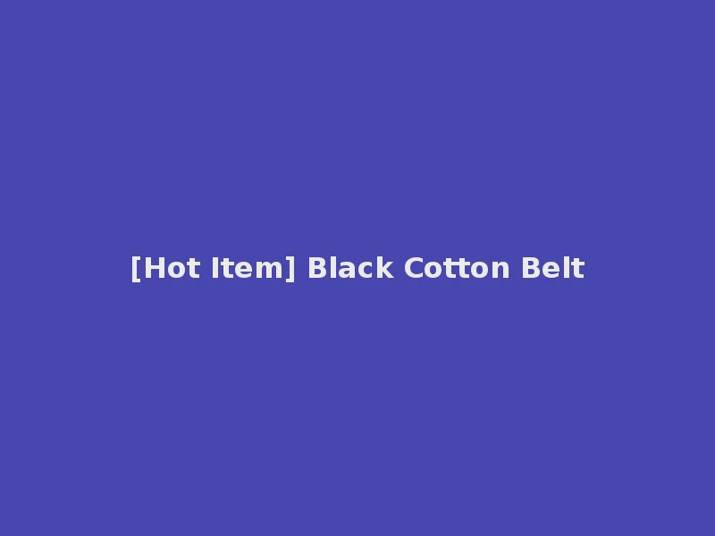 [Hot Item] Black Cotton Belt