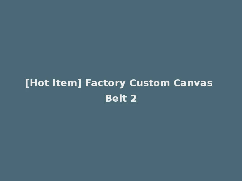 [Hot Item] Factory Custom Canvas Belt 2
