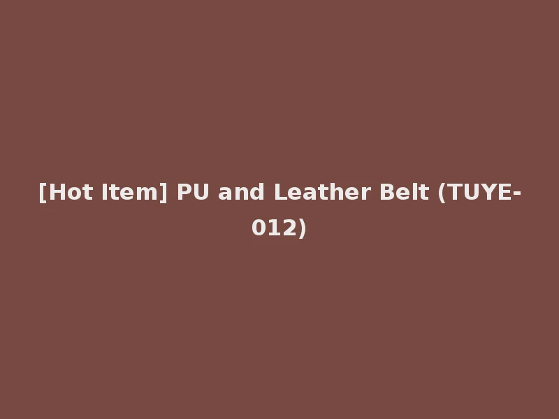 [Hot Item] PU and Leather Belt (TUYE-012)