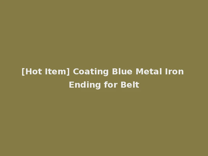 [Hot Item] Coating Blue Metal Iron Ending for Belt