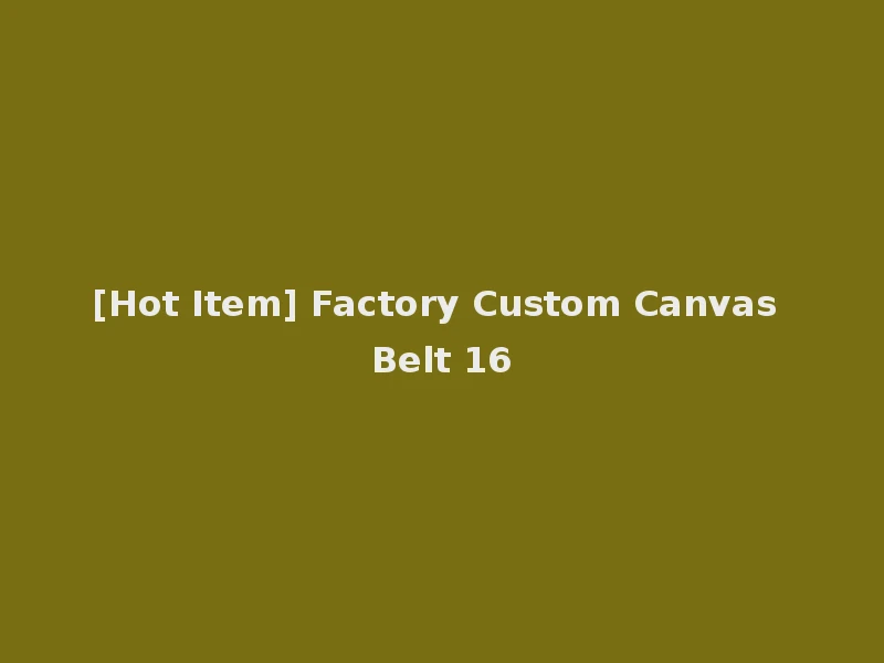 [Hot Item] Factory Custom Canvas Belt 16