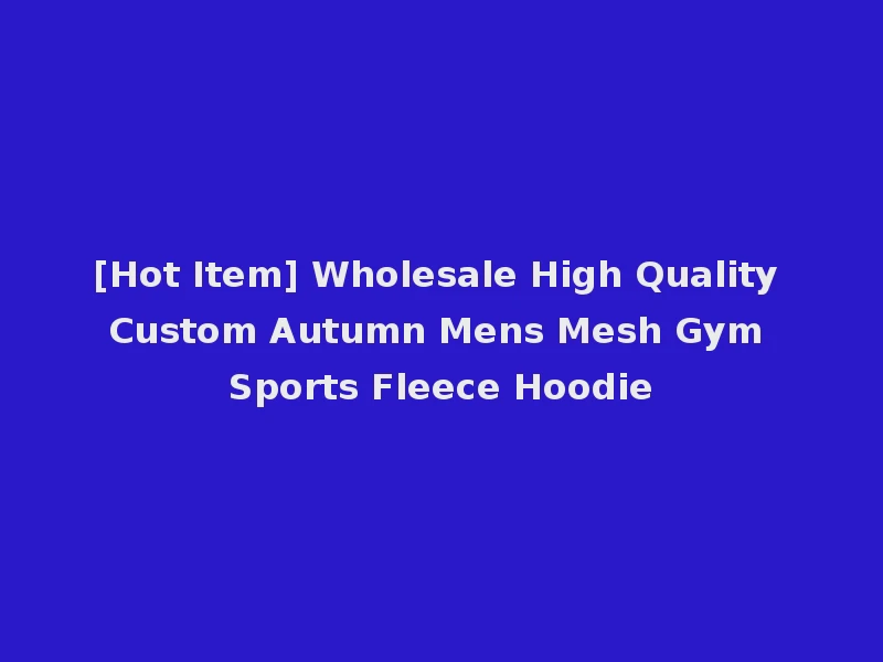 [Hot Item] Wholesale High Quality Custom Autumn Mens Mesh Gym Sports Fleece Hoodie