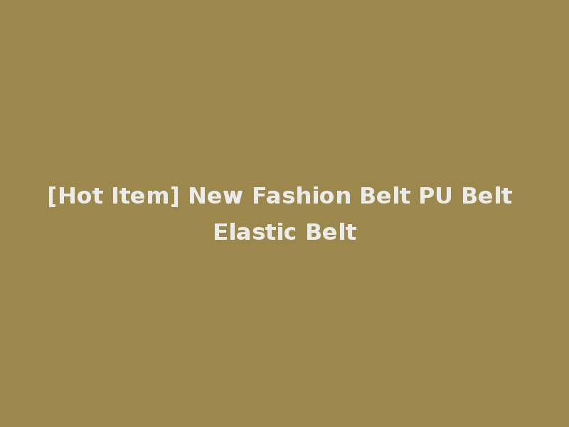 [Hot Item] New Fashion Belt PU Belt Elastic Belt