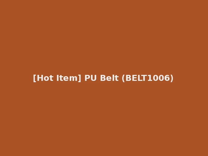 [Hot Item] PU Belt (BELT1006)