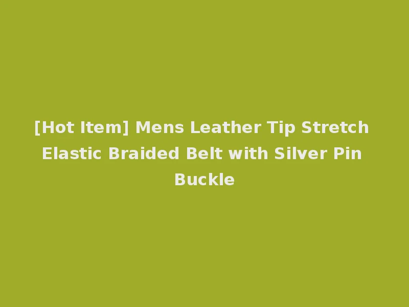 [Hot Item] Mens Leather Tip Stretch Elastic Braided Belt with Silver Pin Buckle