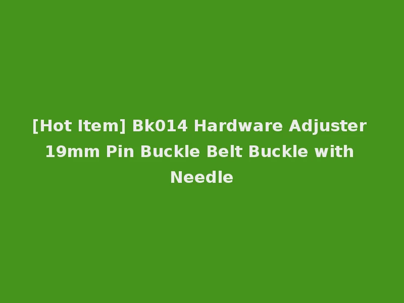 [Hot Item] Bk014 Hardware Adjuster 19mm Pin Buckle Belt Buckle with Needle