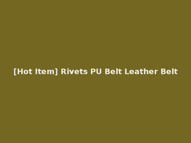 [Hot Item] Rivets PU Belt Leather Belt