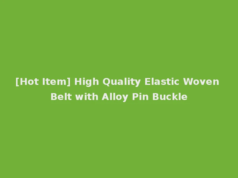 [Hot Item] High Quality Elastic Woven Belt with Alloy Pin Buckle
