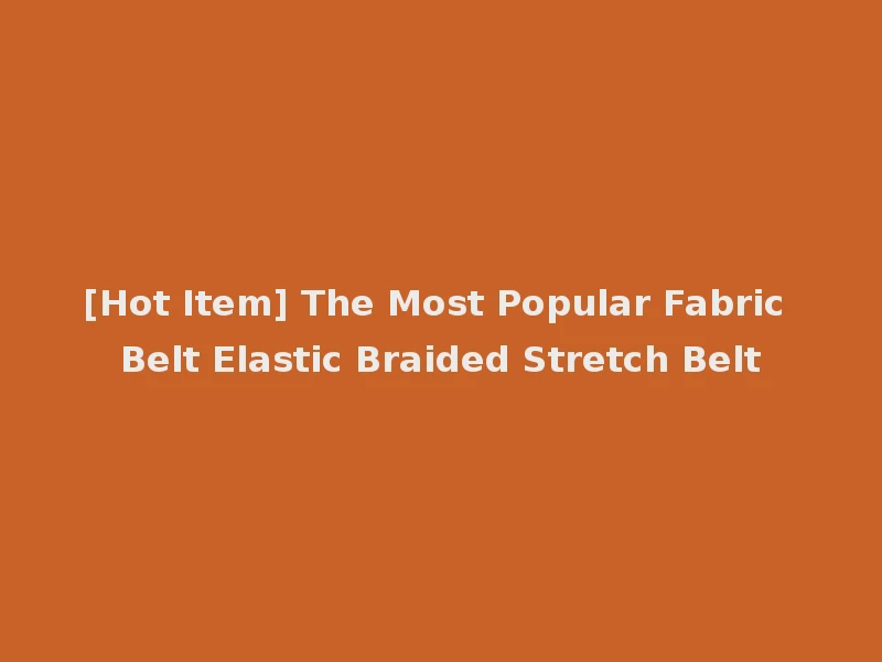 [Hot Item] The Most Popular Fabric Belt Elastic Braided Stretch Belt