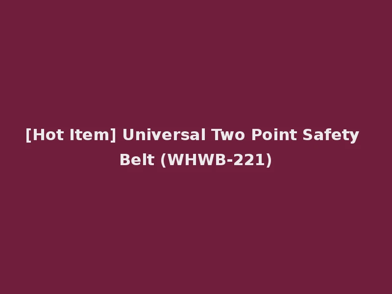 [Hot Item] Universal Two Point Safety Belt (WHWB-221)